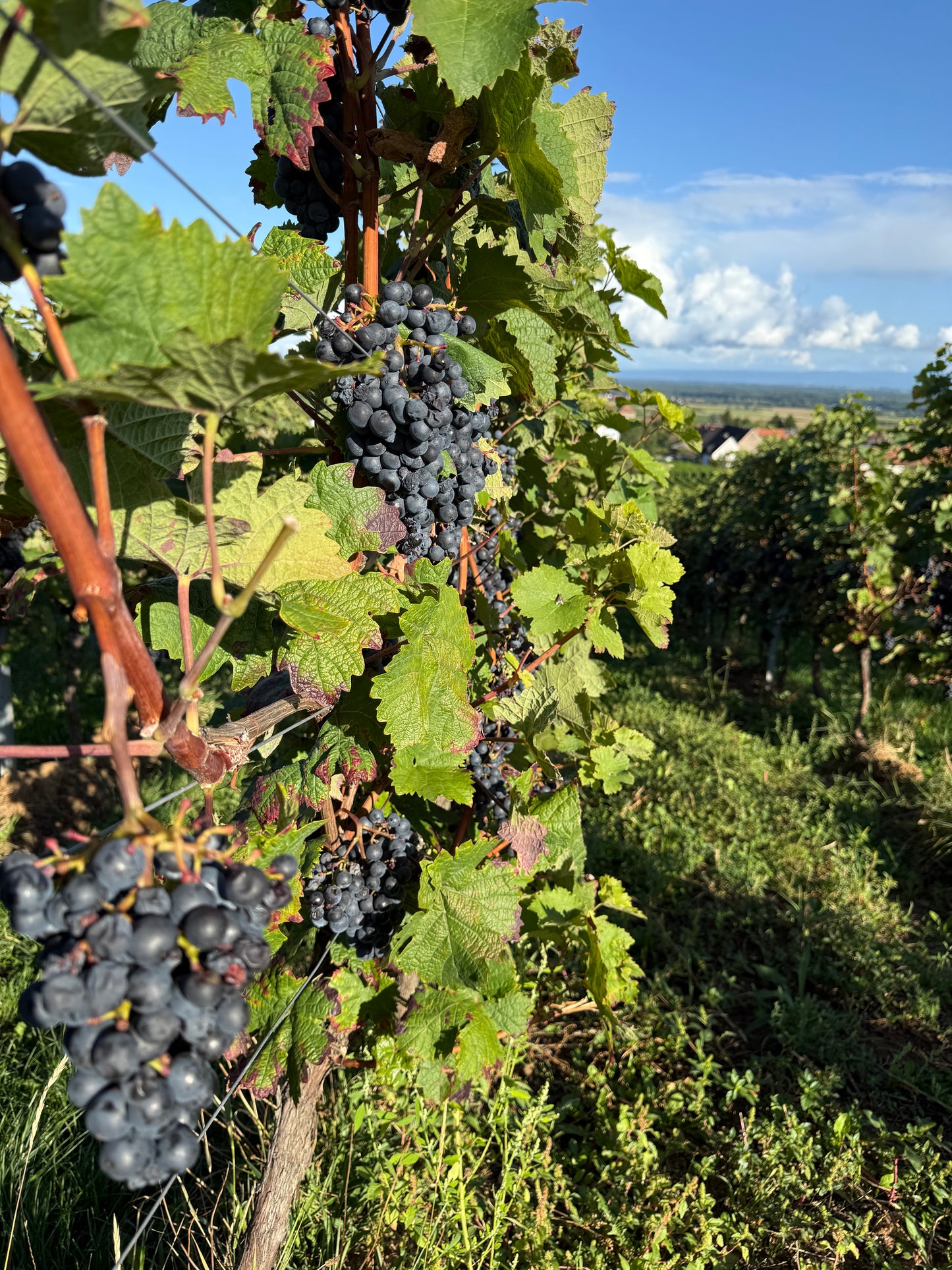 IRIDA KNIT RETREAT | 11.-13.09.2026