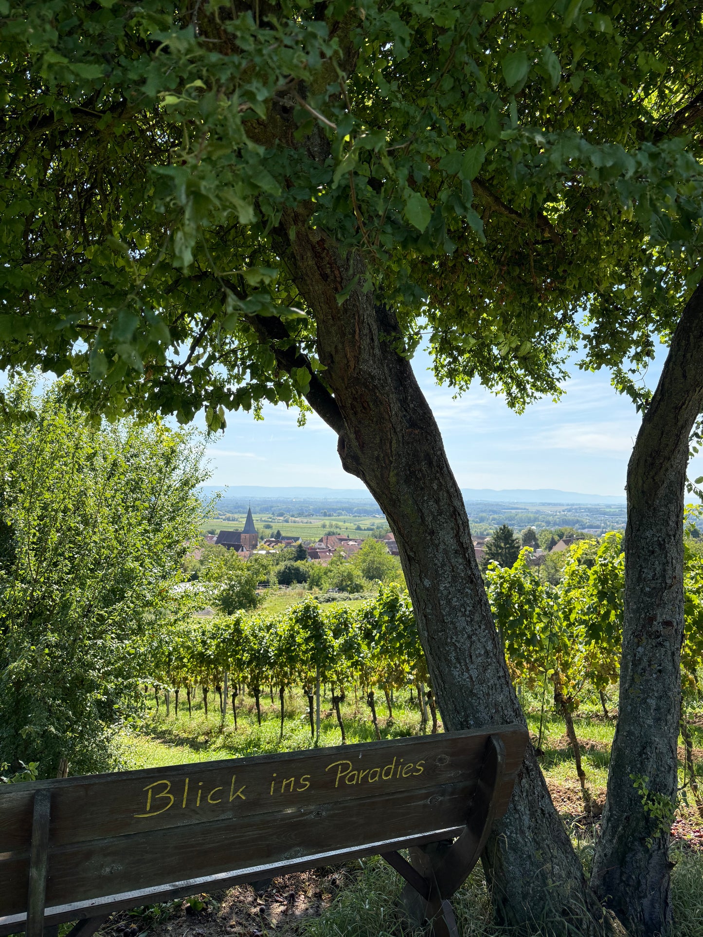 IRIDA KNIT RETREAT | 11.-13.09.2026